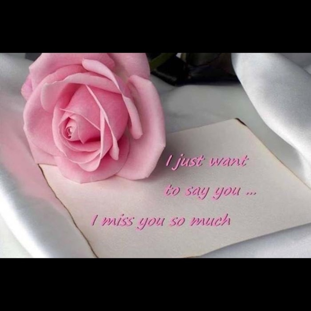 Meet your Posher, Ban